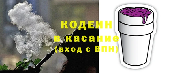 мдпв Верхний Тагил