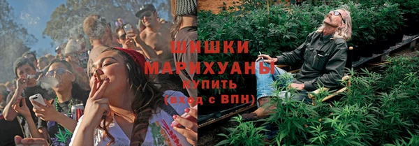 мдпв Верхний Тагил